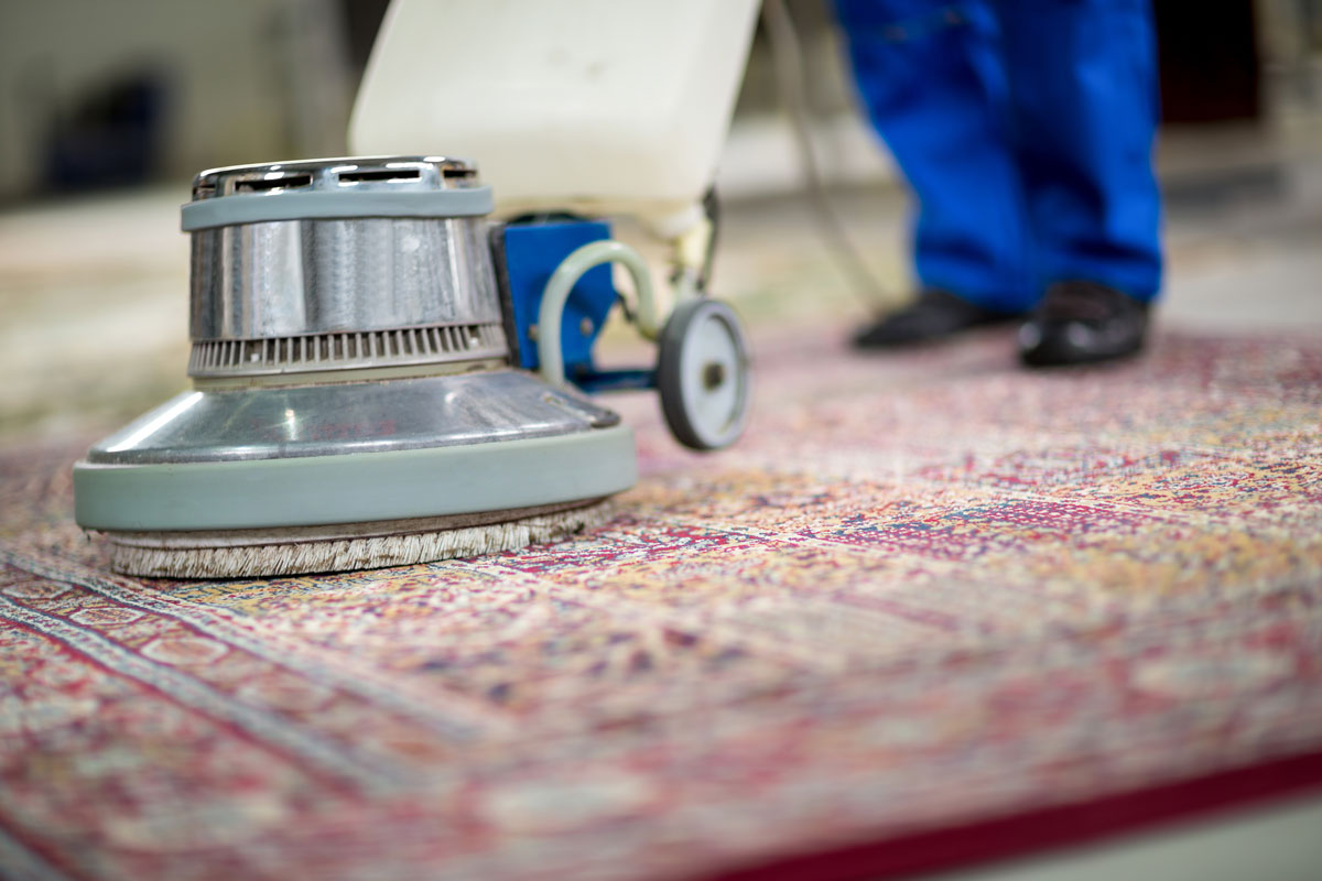 Area Rug Cleaning Melbourne